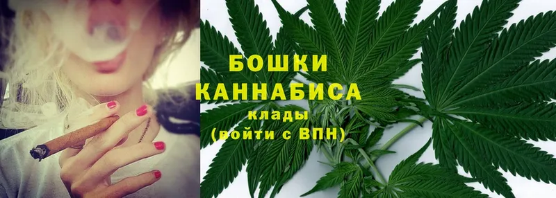 Каннабис OG Kush  Фролово 